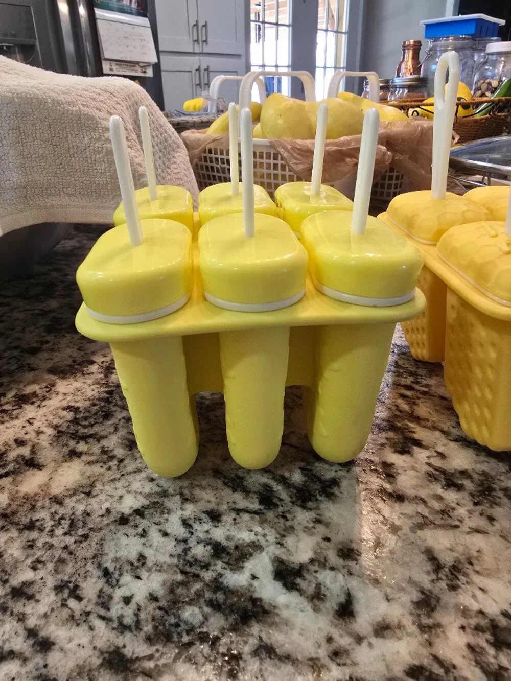 Silicon Popsicle Molds Set of 2 Summertime Treats